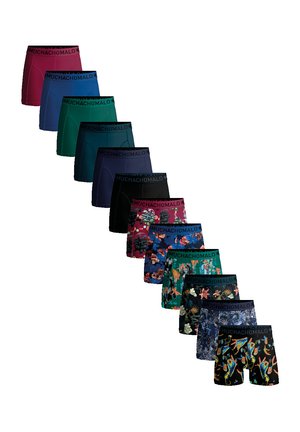 12-PACK PRINT SOLID - Trunks - print black blue green red