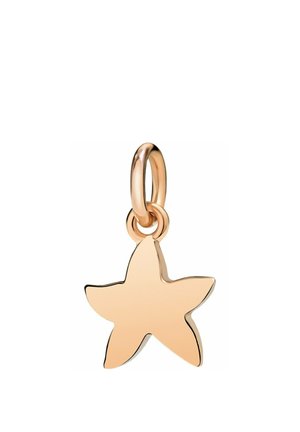Goldener sternförmiger Anhänger mit glatten Kanten, an einem runden Ring auf weißem Hintergrund befestigt.