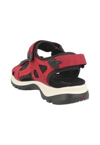 Sandalia para exterior roja y negra con correas ajustables y una suela gruesa, robusta, blanca y negra, mostrada desde un ángulo lateral trasero.