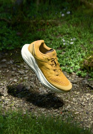 AERO GLIDE 3 - Metsajooksu tossud - spicy mustard/vanilla ice/deep lichen green