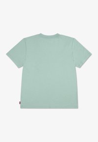 Lys grønn kortermet T-skjorte laget av bomull, med rund hals og ensfarget tekstur. Har en liten rød logo nederst på siden.