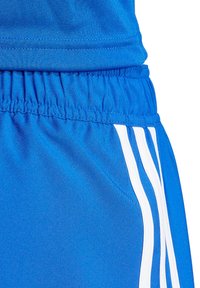 adidas Performance FUSSBALL - TEAM - TASTIGO - Kurze Sporthose - blau