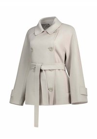 Cappotto grigio chiaro in misto lana con chiusura a doppiopetto, vita con cintura, colletto ampio e maniche lunghe con polsini abbottonati.
