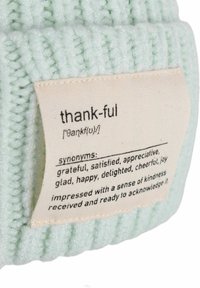 Light mint green knitted beanie featuring a stitched label with the definition of "thankful" and synonyms in black text on a beige background.