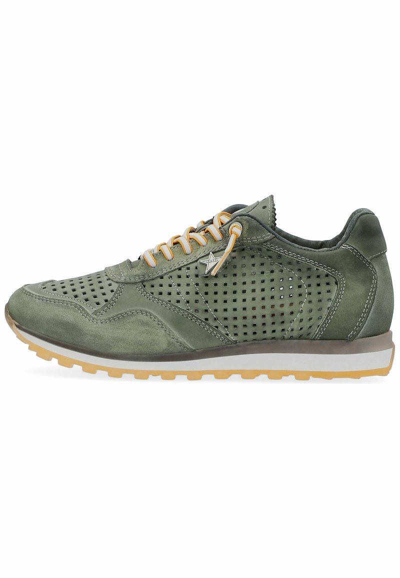 Herren Sneaker low | Cetti Sneaker low mittelgrün/grün - SG11602 Herren Sneaker low | Cetti Sneaker low mittelgrün/grün - SG11602