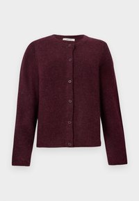 SLFLULU  NEW CARDIGAN  - Cardigan - fig