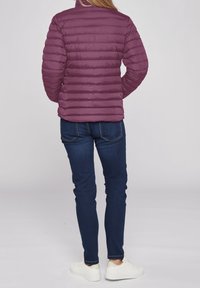 U.S. Polo Assn. Winter jacket - bordeaux