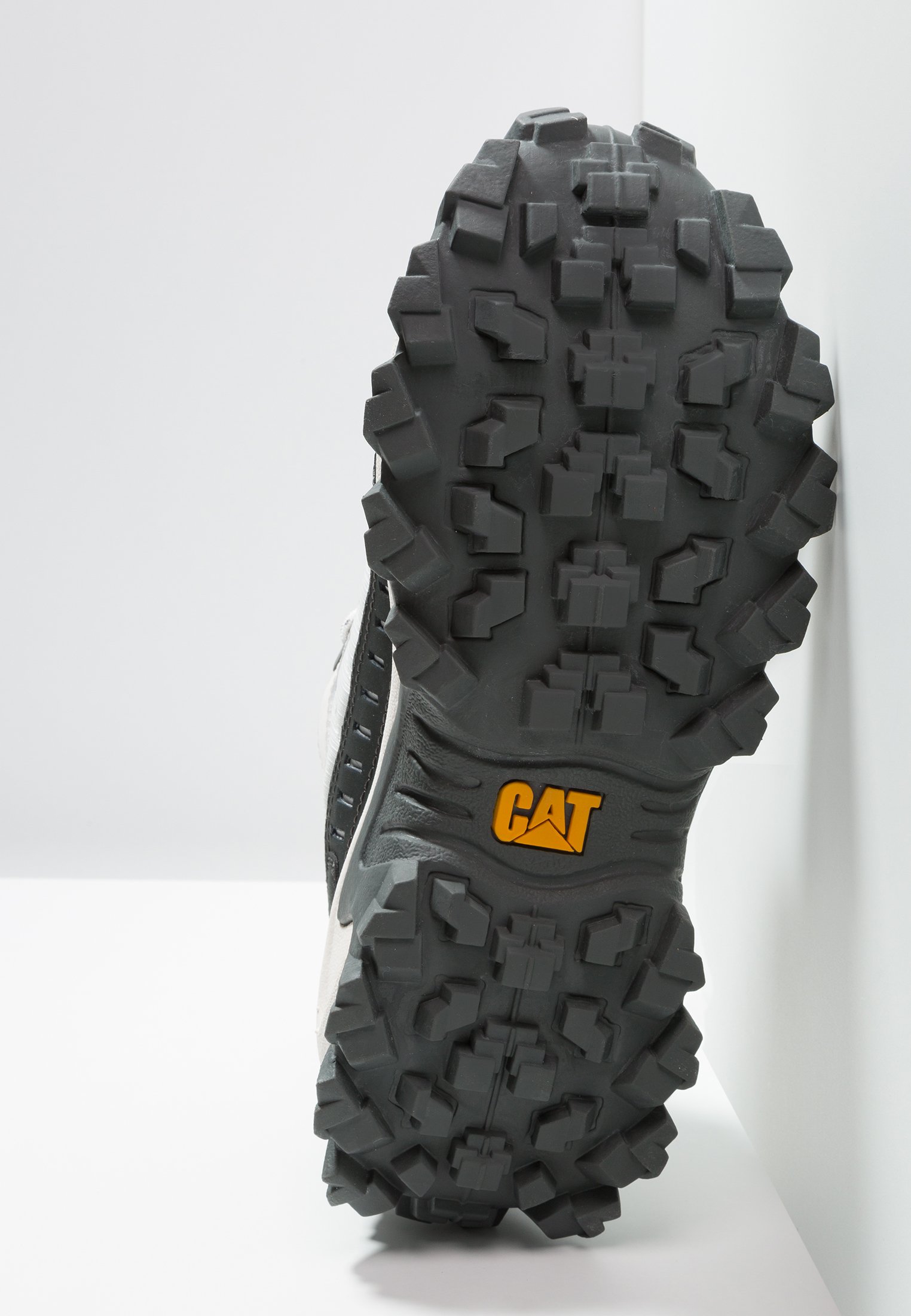 cat intruder pirate black