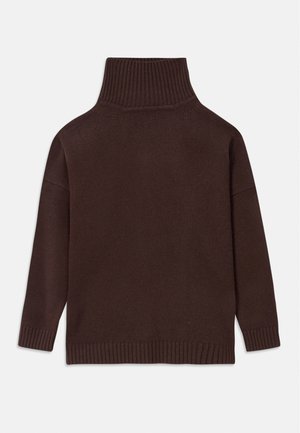 Brown knit turtleneck sweater featuring a high ribbed collar, dropped shoulders, and ribbed cuffs and hem. Smooth texture with a relaxed fit.