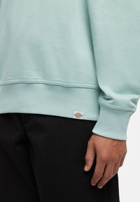 Sudadera azul claro con dobladillo y puños acanalados, que presenta un pequeño parche de logo colorido en la parte inferior izquierda. Llevada sobre pantalones negros.
