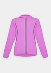RUN VELOCITY JACKET - Μπουφάν προπόνησης - wild berry