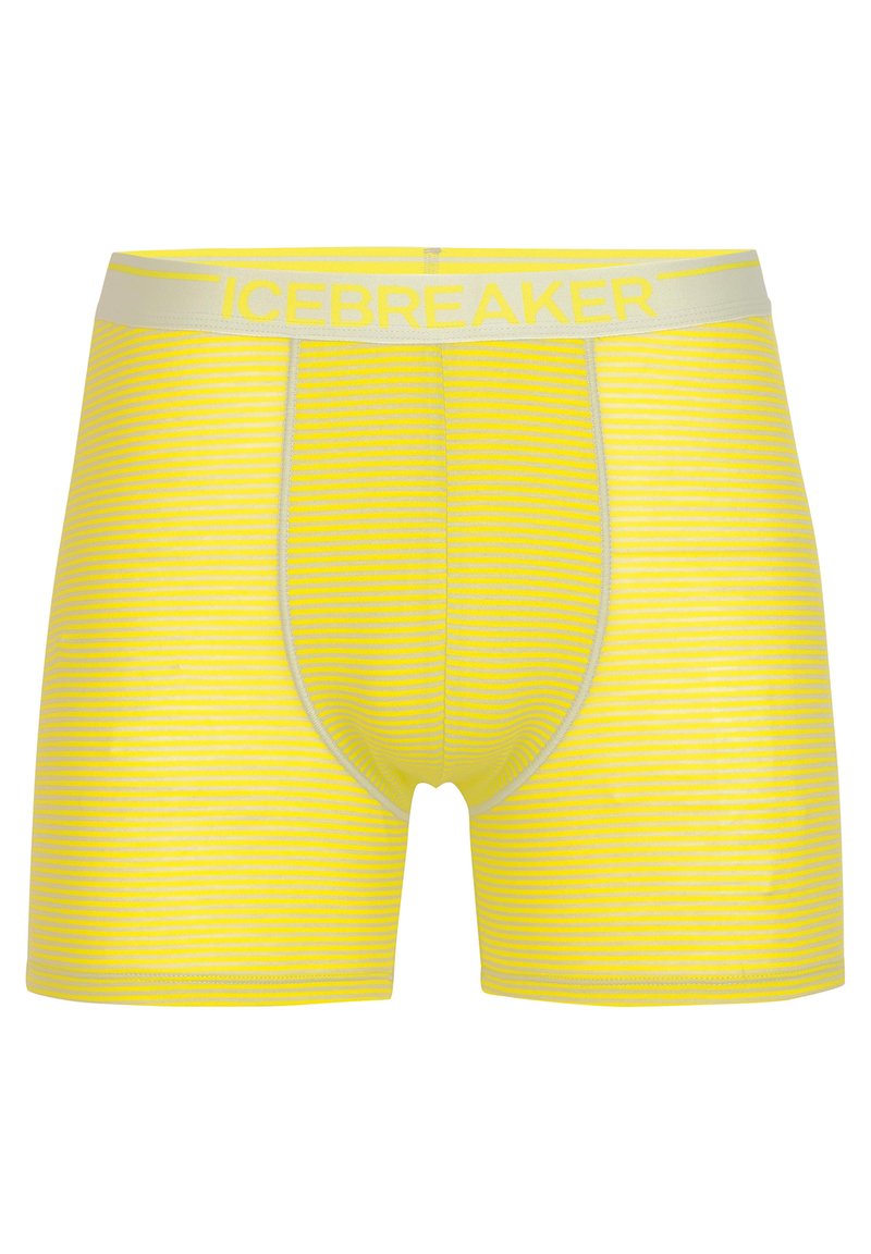 icebreaker ANATOMICA - Underkläder - LIGHT GREY