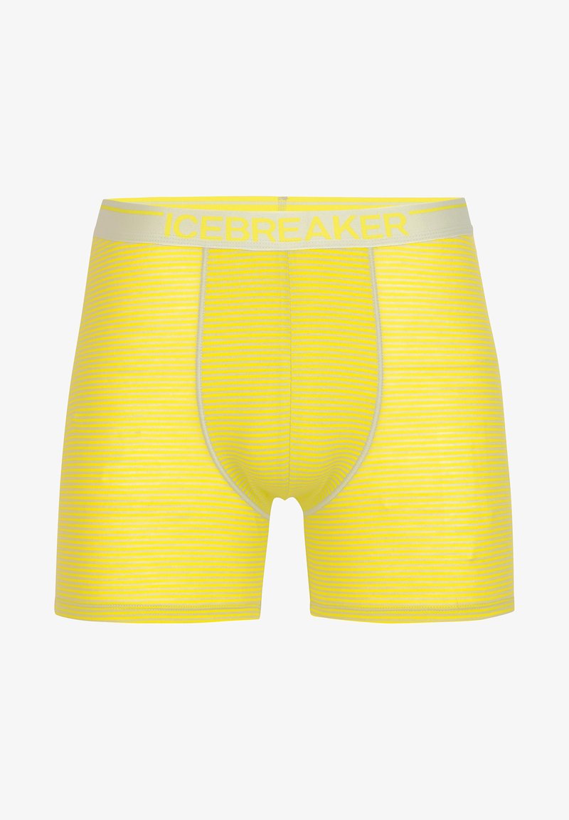 icebreaker ANATOMICA - Underkläder - LIGHT GREY