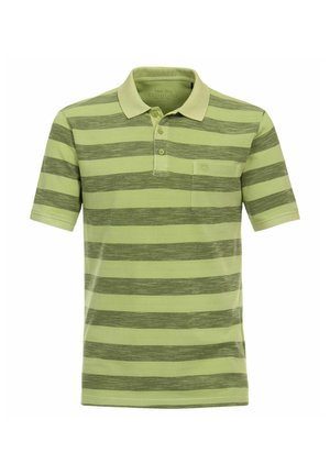 Polo shirt in lichtgroen met donkergroene horizontale strepen, met een kraag, een knoopsluiting met drie knopen en een klein borstzakje.