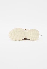 Steve Madden TAZMANIA - Trainers - brown