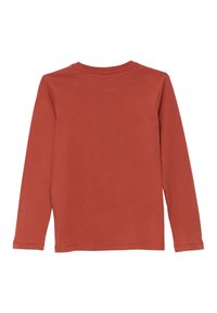 Ein einfarbiges Langarm-T-Shirt mit Rundhalsausschnitt in Rostorange, von hinten auf einem weißen Hintergrund dargestellt.
