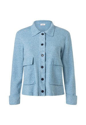 Cardigan boutonné bleu clair avec col, manches longues, deux poches à rabat sur le devant, et boutons noirs au centre.