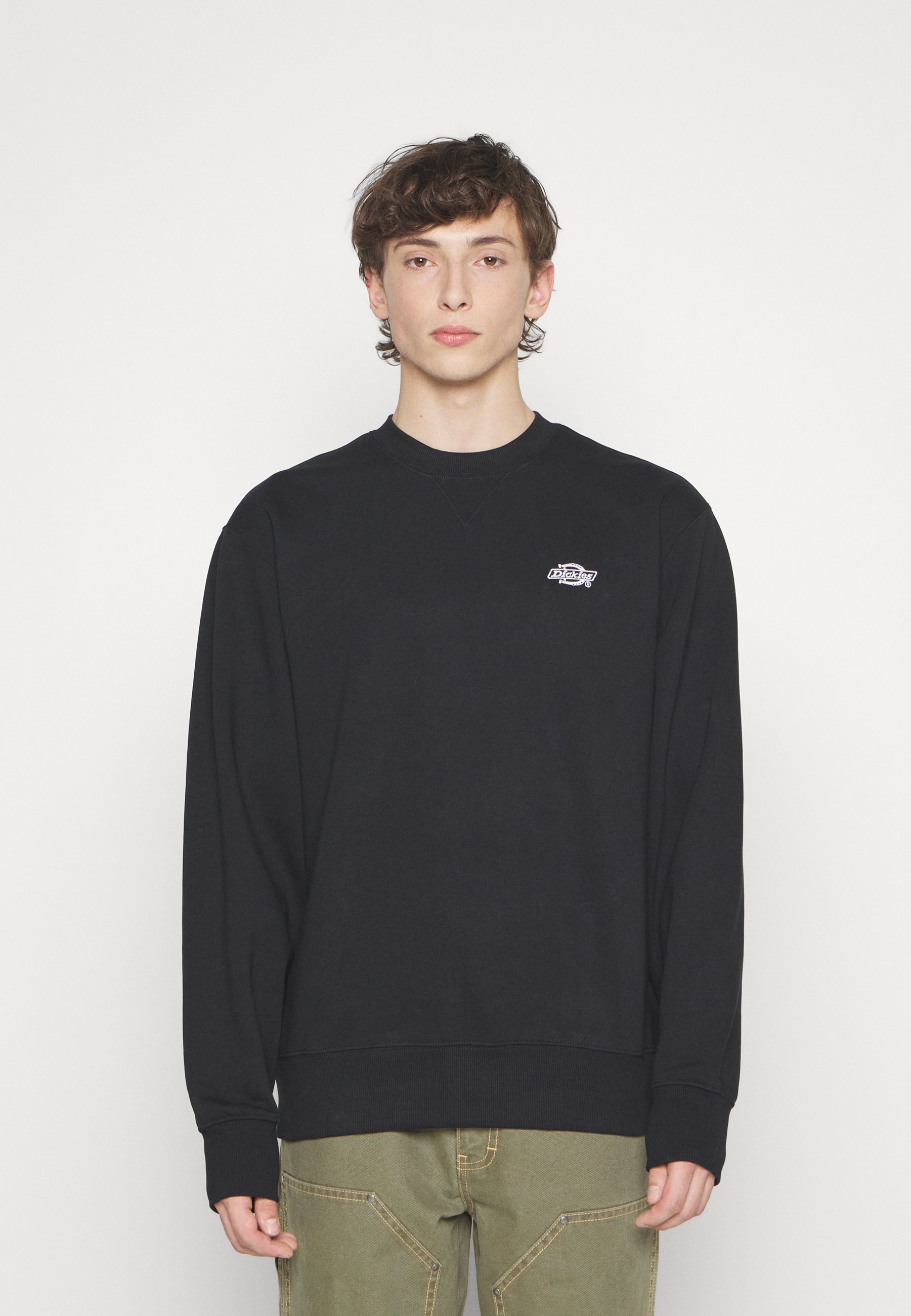 Dickies SUMMERDALE - Sweatshirt - black - Zalando.co.uk