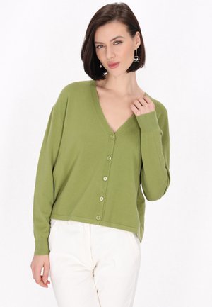 Cardigan verde cu decolteu în V și mâneci lungi, fabricat dintr-un material moale, cu un închidere prin butoane și manșete cu nervuri. Purtați peste pantaloni de culoare deschisă.