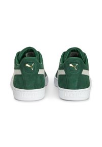 Zielone zamszowe sneakersy z białymi gumowymi podeszwami. Posiadają złote logo na pięcie oraz kontrastowy biały pasek wzdłuż boku.