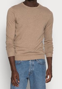 Selected Homme Stickad tröja - beige