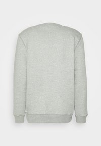 Lys grå sweatshirt, rund hals, lange ermer, ribbede mansjetter og kant, laget av myk stoff med en jevn tekstur, ingen synlige mønstre.