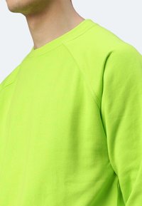 Felpa lime green brillante con colletto a girocollo e maniche raglan, realizzata in morbido tessuto di cotone misto, caratterizzata da una superficie liscia.