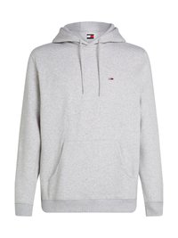 FLAG HOODED - Sweater - silver grey