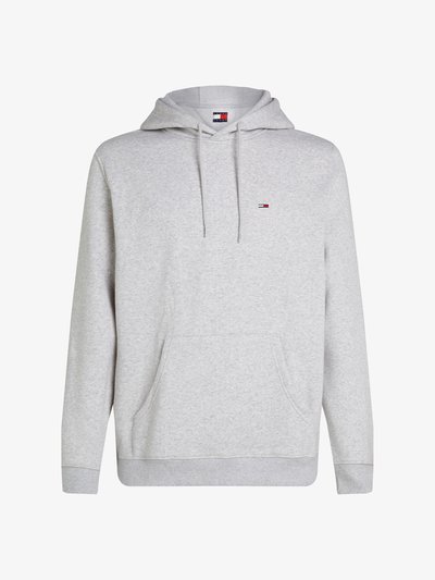 FLAG HOODIE - Sweat à capuche - silver grey