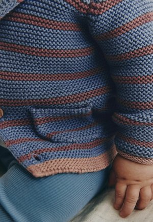 Next, Strickjacke - blue & burgundy stripe