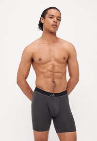 Šedé atletické boxerky s tesným strihom, elastický pás s logom a hladká textúra. Bez vzorov alebo ďalších detailov.
