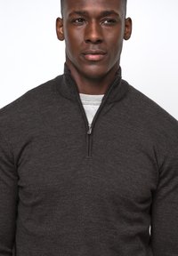 PROFUOMO THE MERINO HALF ZIP - Strickpullover - dark brown