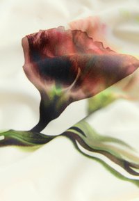 Primo piano di un fiore di calle di colore viola scuro con gambo verde su uno sfondo di tessuto chiaro leggermente increspato.