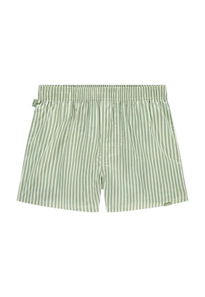 STRIPED - Boxer shorts - green white