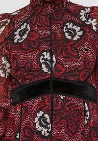 Robe rouge à col montant avec une ceinture en velours noir et de grands motifs floraux blancs et noirs, dotée de longues manches bouffantes transparentes.