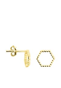 Guldtonade hexagonala örhängen med en texturerad kant, utrustade med en studsbacking. Designen inkluderar rundade, pärlade accenter på den yttre kanten.