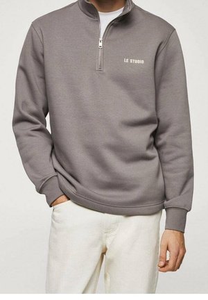 Gray sweatshirt with a quarter-zip collar, relaxed fit, and the text "LE STUDIO" in light color on the left chest area. Soft fabric texture.