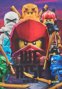 Seven colorful LEGO Ninjago ninja characters with swords surround a central red ninja, with "We Rise Ninjago" text below.