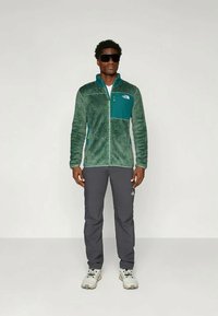 The North Face M ALPEDGE JACKET - Fleece jacket - duck green/deep nori