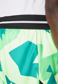 Grüne und hellgrüne Shorts mit einem geometrischen Muster, ausgestattet mit einem schwarzen elastischen Bund mit weißen Akzenten. Glattes, leichtes Material.