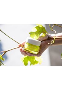 Grüner Glasbehälter mit einem weißen Deckel, beschriftet mit "Korres Santorial Grape Poreless Skin Cream", vor einem Hintergrund aus Traubenkprogrammen gehalten.