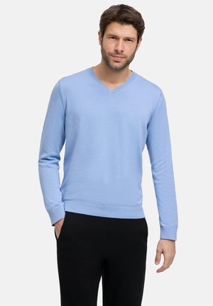 Light blue v-neck sweater made of smooth fabric, featuring long sleeves and a fitted waistband. Paired with black pants, hands in pockets.