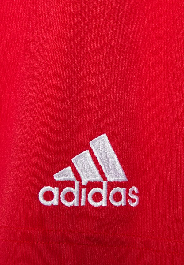 ENTRADA 22 - Sports shorts2