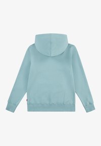 Hoodie azul claro feito de um tecido macio, com capuz, punhos e bainha canelados. Sem gráficos ou padrões visíveis na parte de trás.