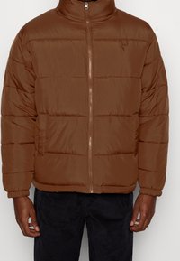 Brązowa kurtka puchowa z wysokim kołnierzem, zamkiem błyskawicznym, pikowanymi sekcjami i małym logo na piersi. Miękka tkanina o delikatnym połysku i gładkiej fakturze.
