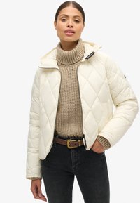 Superdry & Co Winter jacket - star white