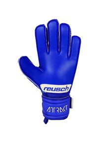 Guanto da portiere blu realizzato in materiale sintetico testurizzato. Caratterizzato da protezione per le dita, una striscia in velcro e elementi di branding in bianco.