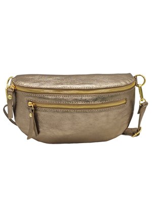 Sac bandoulière métallisé doré avec une texture lisse, deux compartiments zippés et des accents en matériel doré. Sangle réglable incluse.