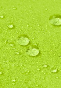 Superficie verde brillante e strutturata con gocce d'acqua trasparenti, che mostrano perle di diverse dimensioni che riflettono la luce e i pattern della superficie.