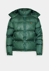 APPIANI PADDED JACKET - Winter jacket - dark green